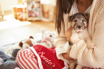 Petco Shares Tips and Advice for a Safe, Joyful Holiday Season with Pets